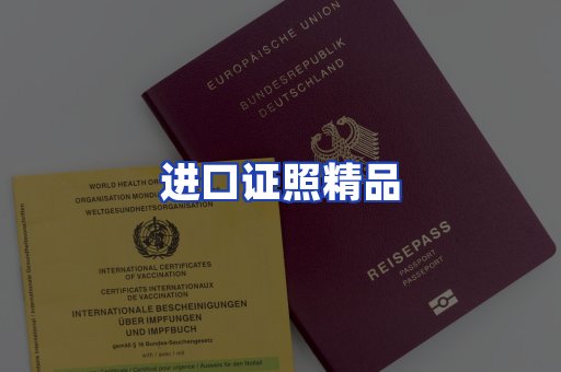 进口证件页面制证